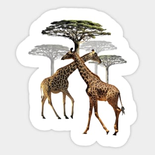 Giraffes with trees in Kenya / Africa Sticker